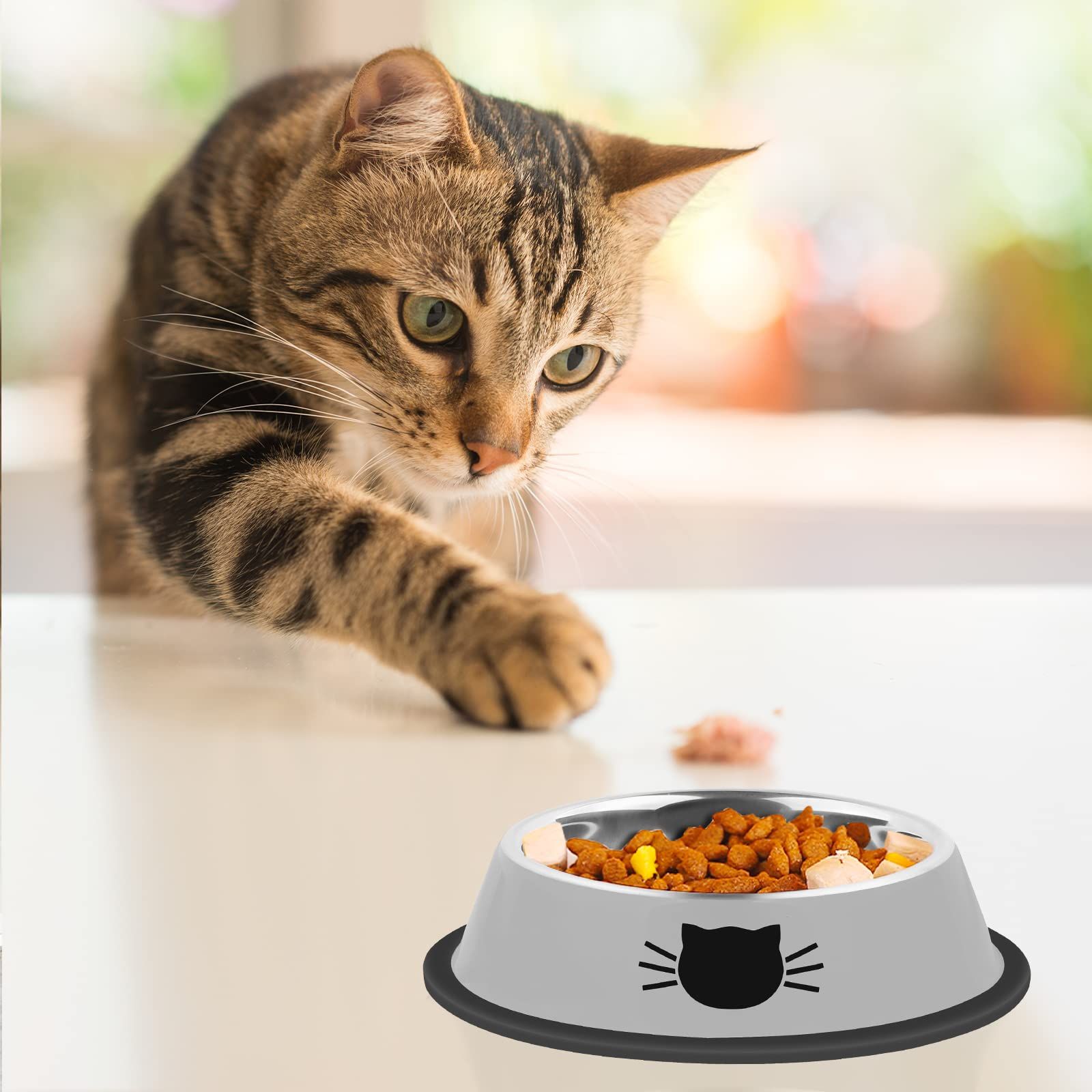 Cat bowl anti slip stainless steel cat food bowl not broken view 2