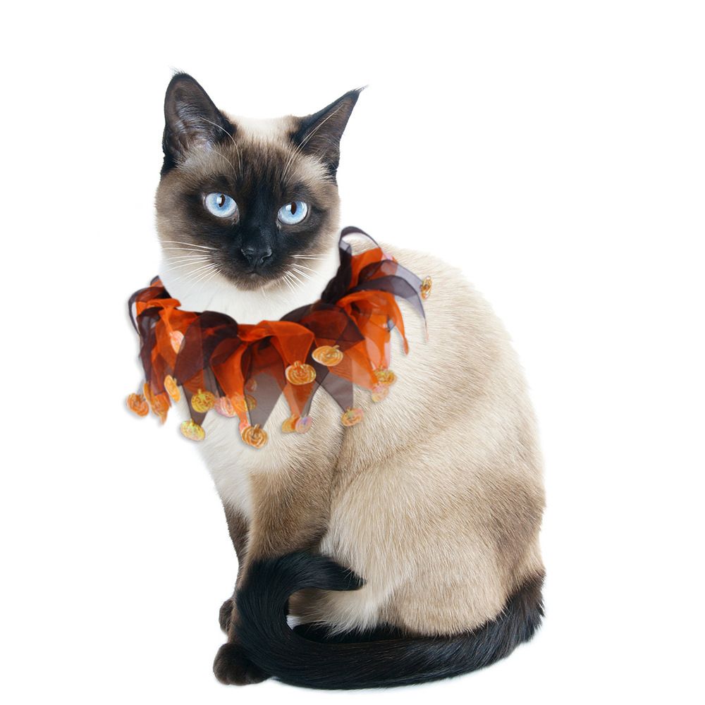 Pet Collar Halloween Decorative Cat Collar Halloween Cat Collar Cat and Dog