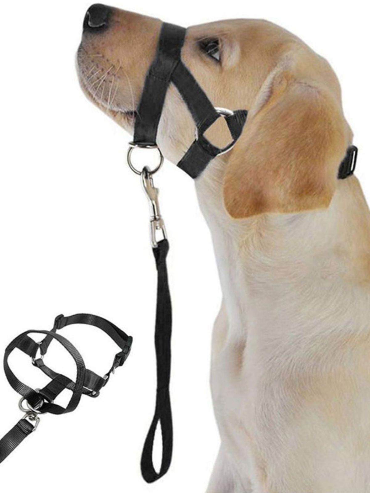 Soft Dog Head Collar, No Pull Training Tool for Small Medium Large Dogs on view 3