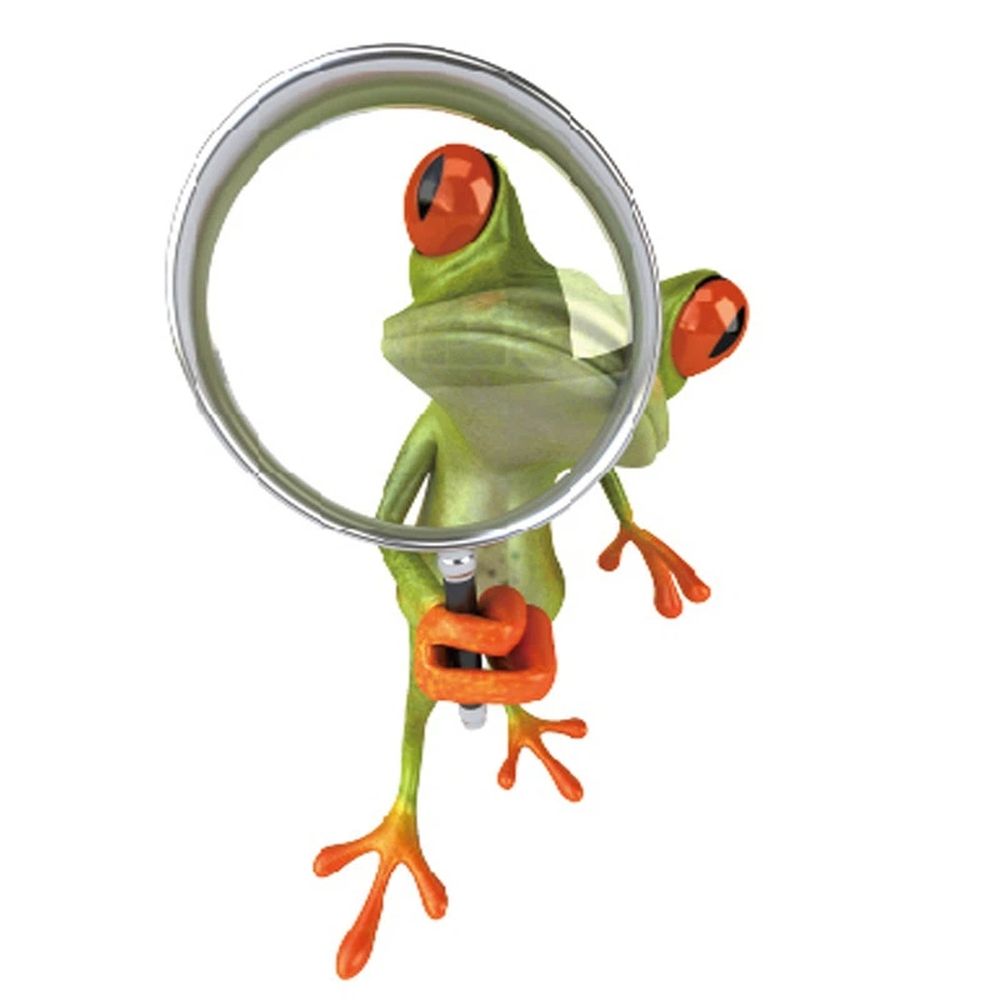 4pcs Frog Decal Sticker,Frog Lover,Animal Lover Gift for Car Bathroom Toilet — image 1