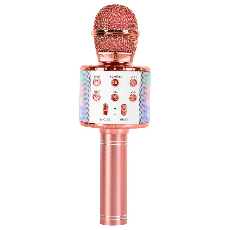 Karaoke Microphone for Kids