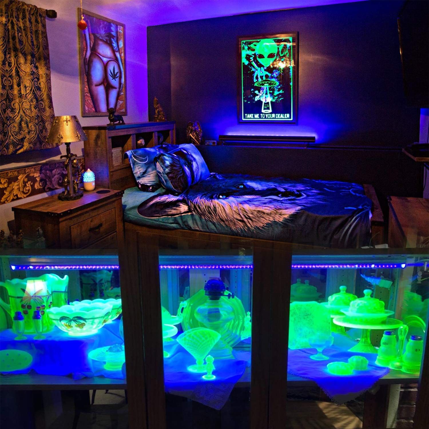 10W LEDs UV Led Tube Blacklight view 5
