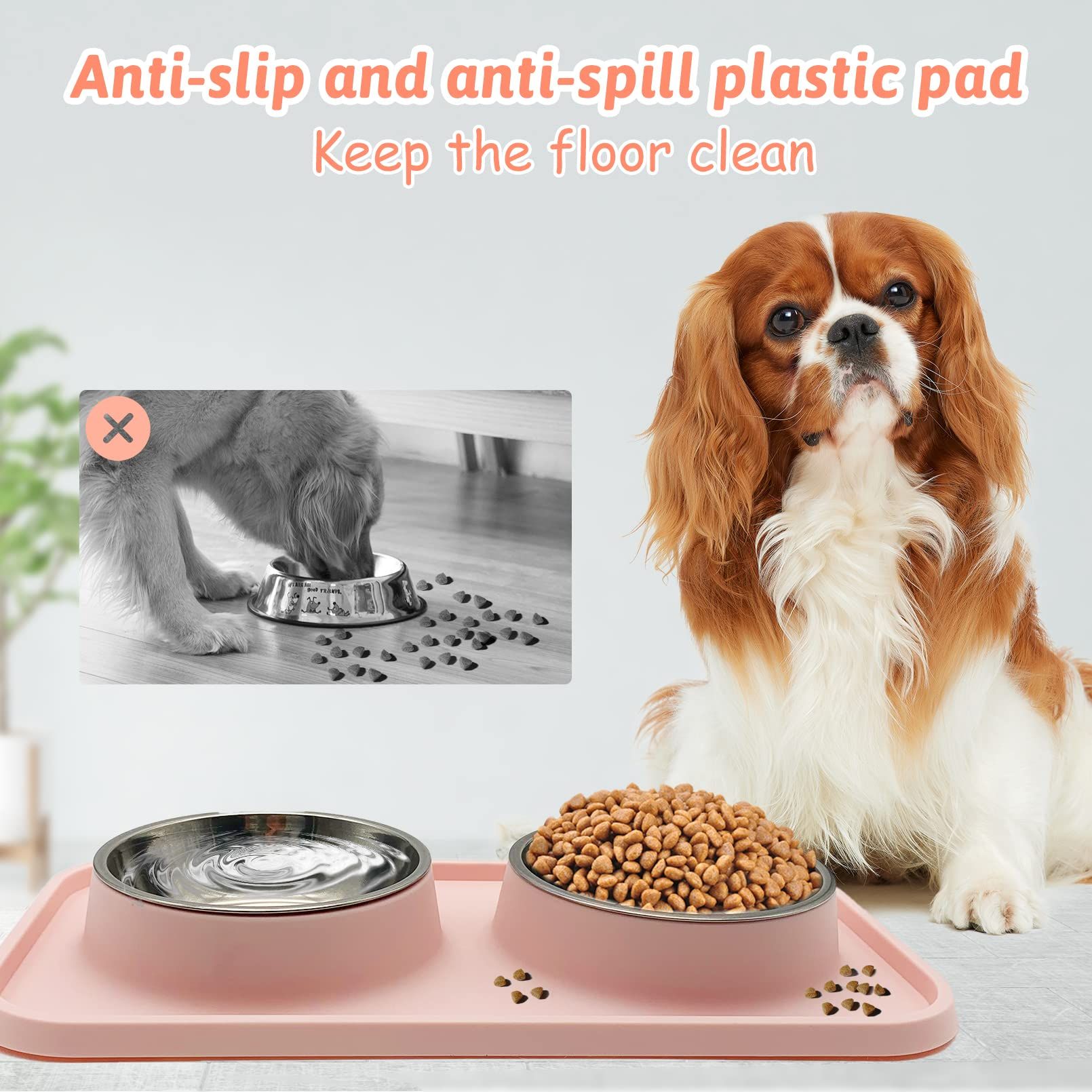 Double Dog Food Bowls Stainless Steel Dog Food and Water Bowls with Non-Spill view 4