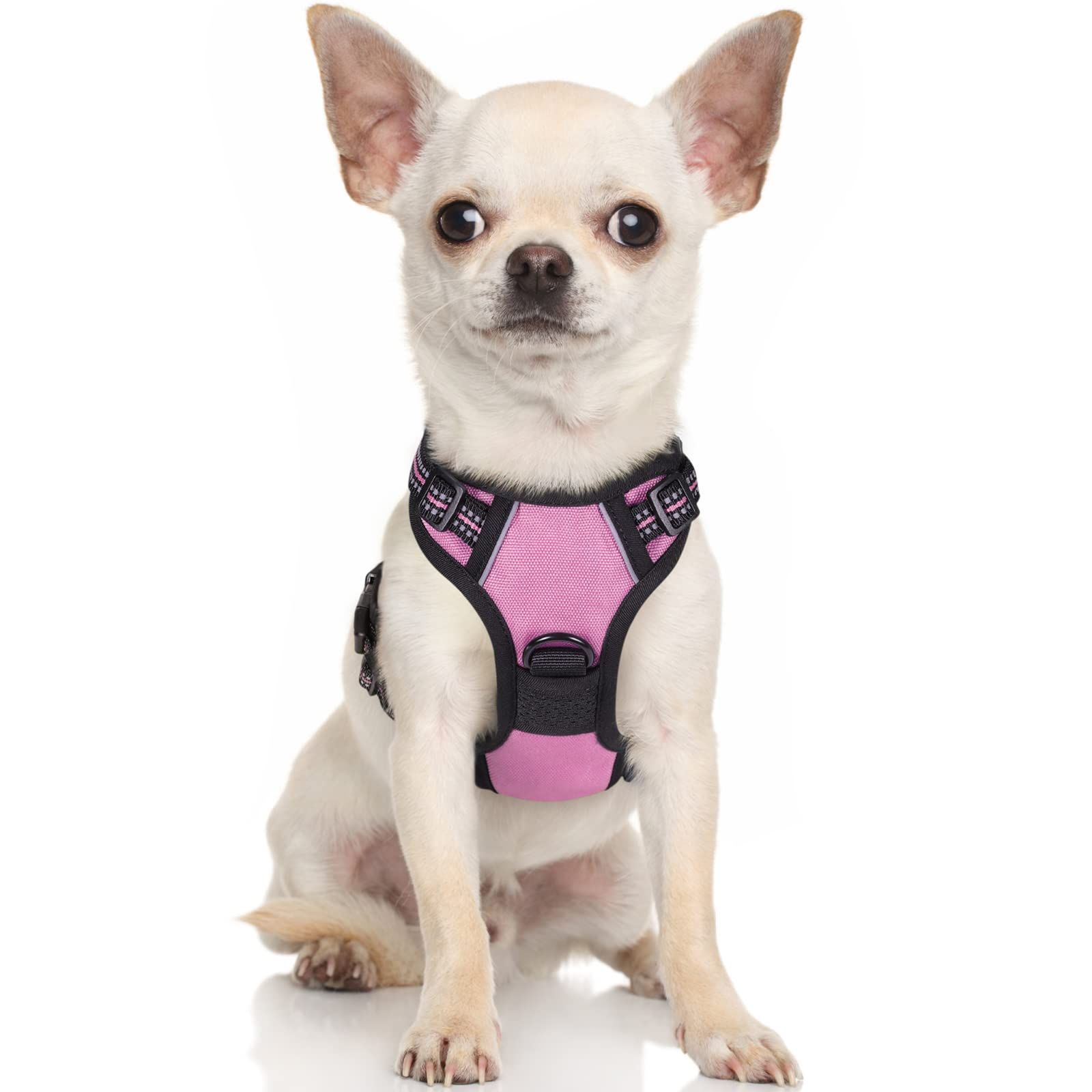 No-Pull Pet Harness with 2 Leash Clips