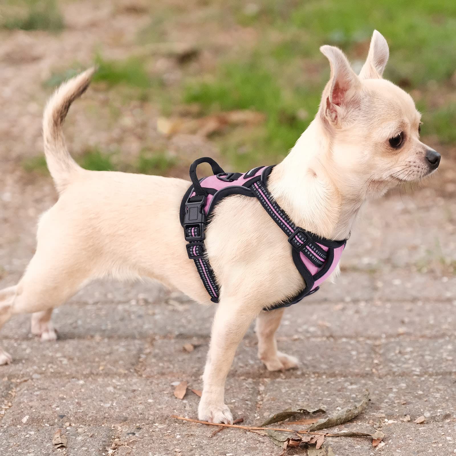 No-Pull Pet Harness with 2 Leash Clips view 2