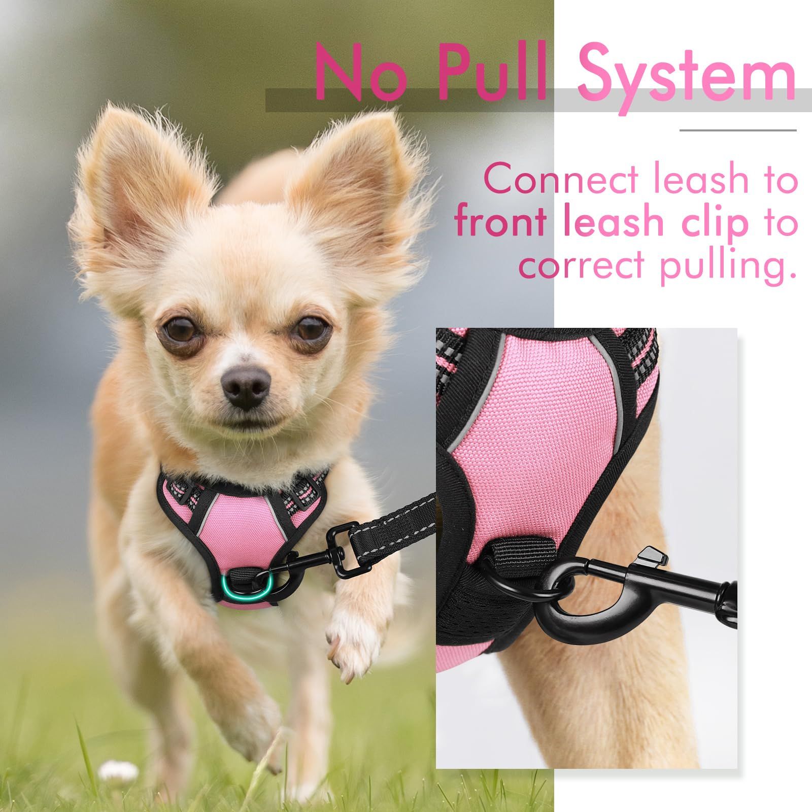 No-Pull Pet Harness with 2 Leash Clips view 4