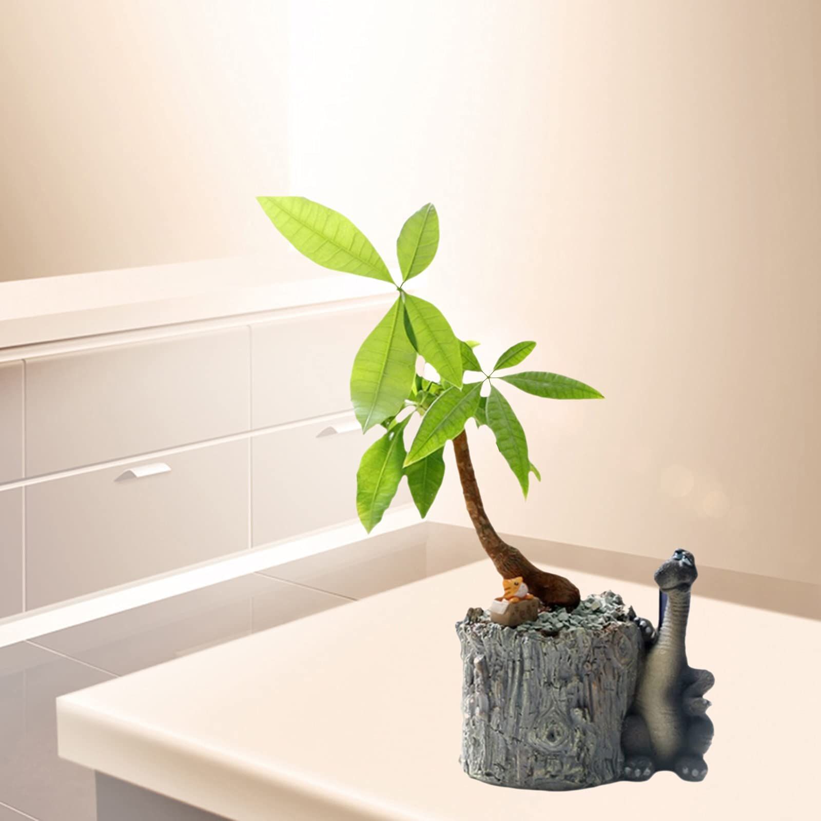 Dinosaur Shape Resin Flower Pot with Drain Hole for Succulent Plants view 4