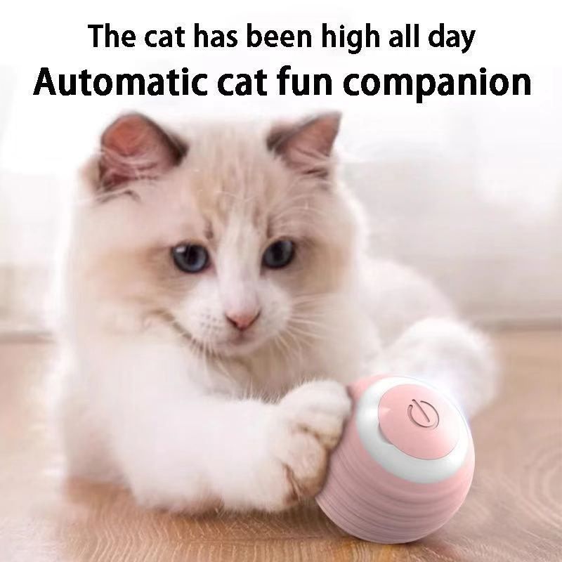 Interactive Cat Toy Ball