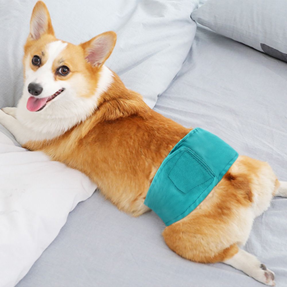 Male Dog Diapers Reusable Absorbent view 4
