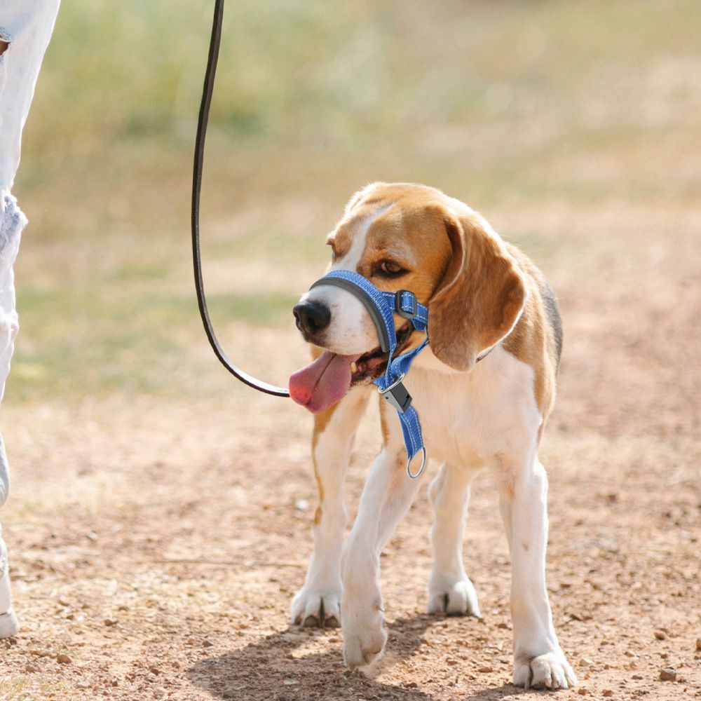 Gentle Leader No-Pull Dog Headcollar - The Ultimate Solution to Pulling view 2