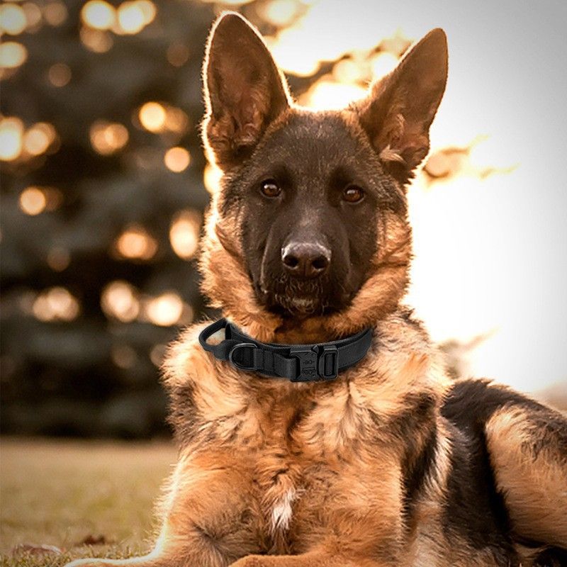 Tactical Dog Collar Military Dog Collar Adjustable Nylon Dog Collar Heavy Duty view 2