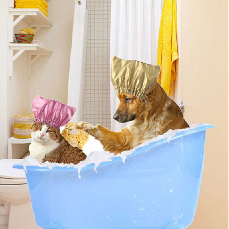 Cap Pet Shower and Bath Supplies Pet Bath Accessories Prevent Water in Pet Cat