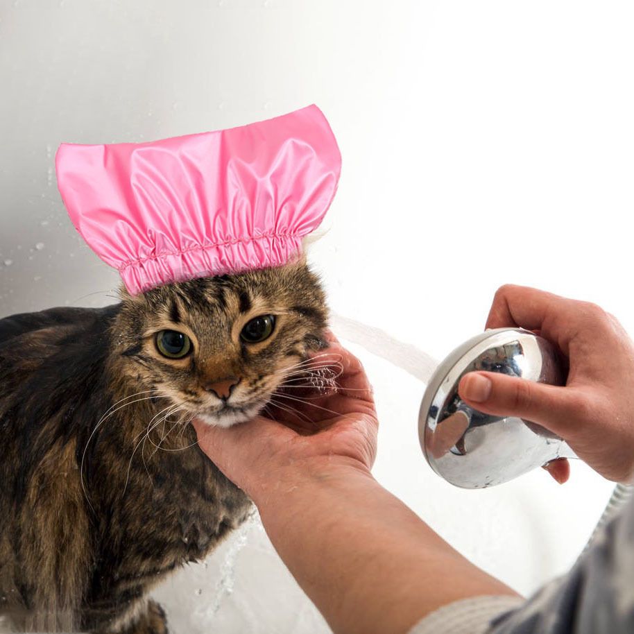 Cap Pet Shower and Bath Supplies Pet Bath Accessories Prevent Water in Pet Cat view 2