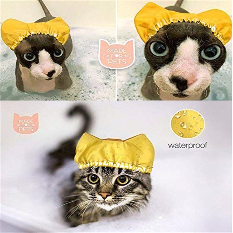 Cap Pet Shower and Bath Supplies Pet Bath Accessories Prevent Water in Pet Cat view 3