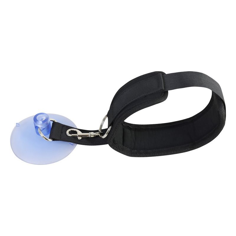 Dog Bathing Tether with Heavy Suction Cup view 3