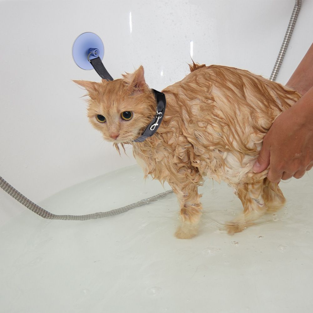 Dog Bathing Tether with Heavy Suction Cup view 4