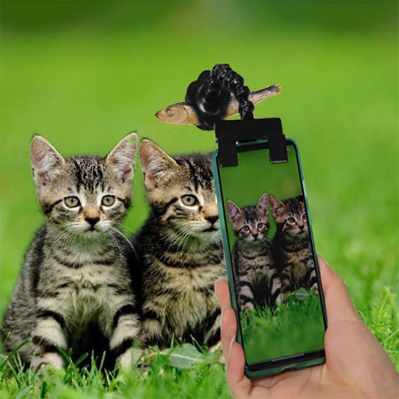 Pet Selfie Tool Phone Selfie Stick view 2
