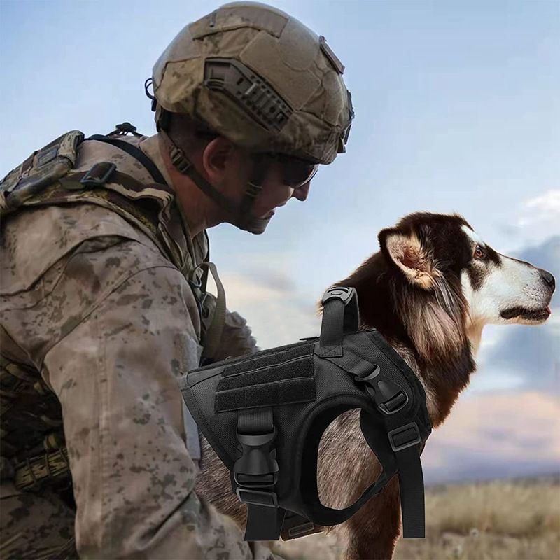 Tactical Dog Harness for Large Dogs view 4