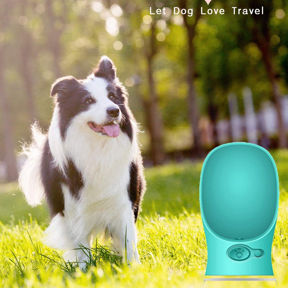 Portable Dog Water Bottle for Walking
