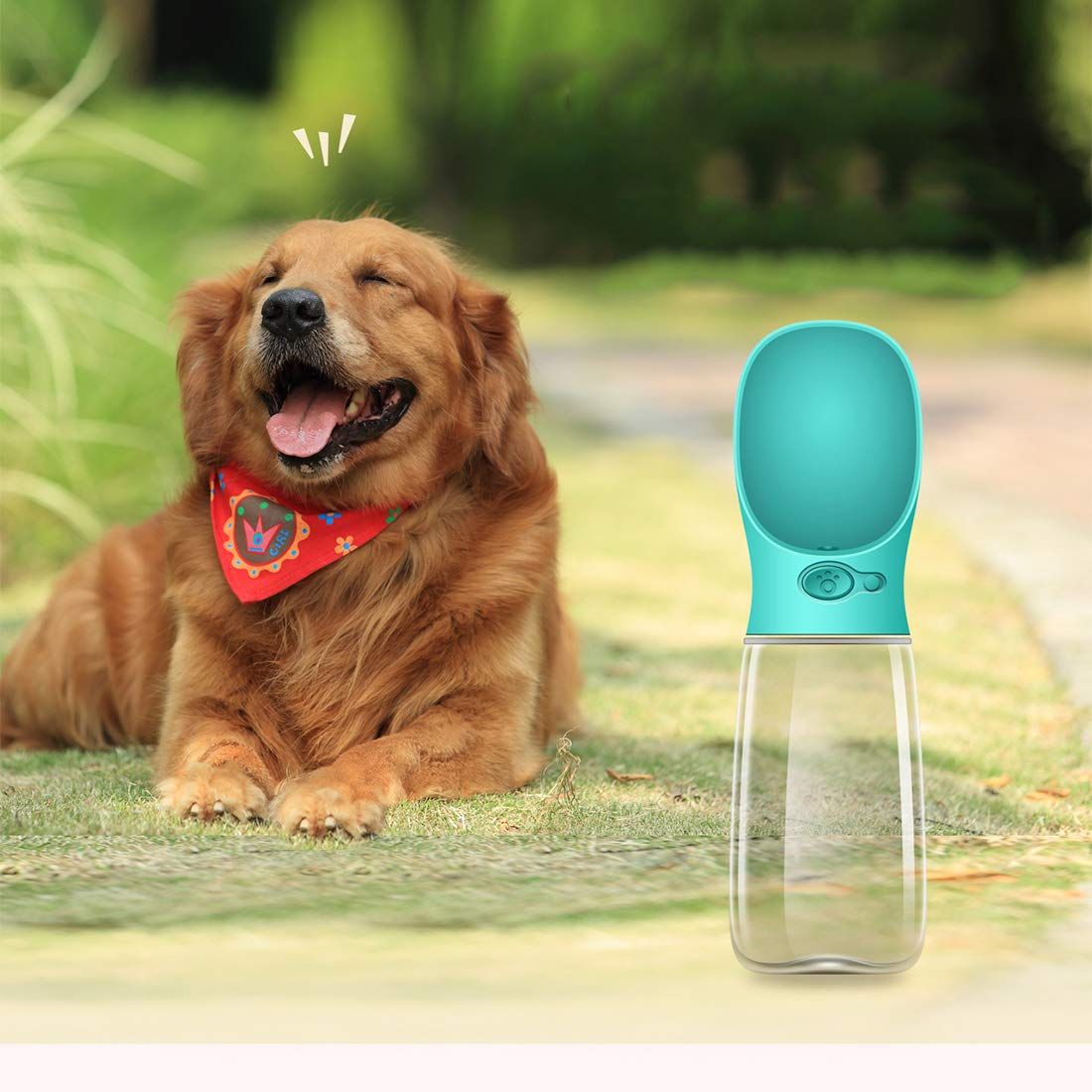 Portable Dog Water Bottle for Walking view 4