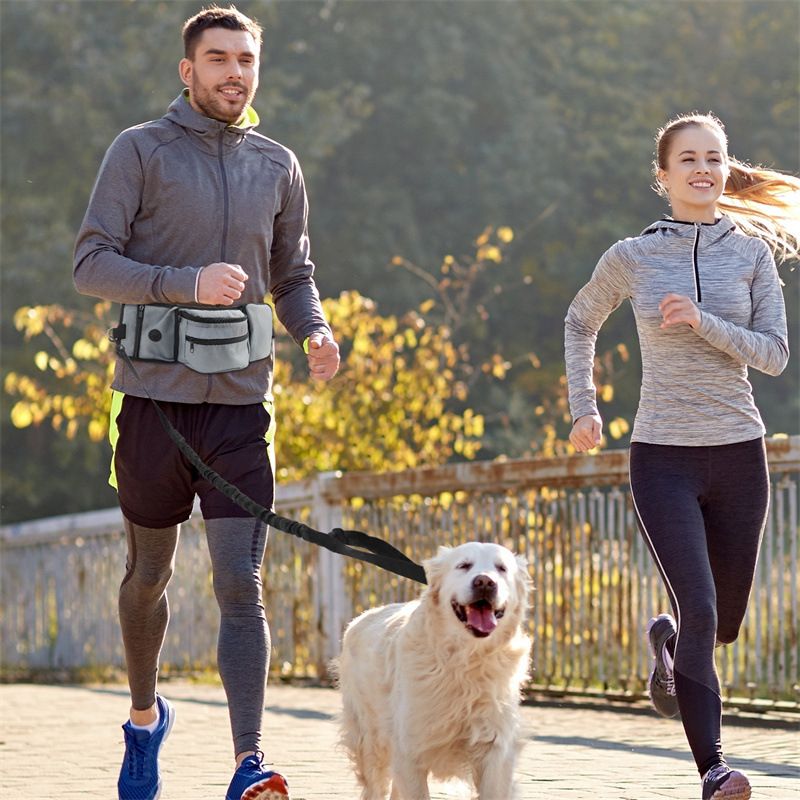 Adjustable Dogs Treat Pouch Training Pouch For Outdoor Walking With Bottle view 4