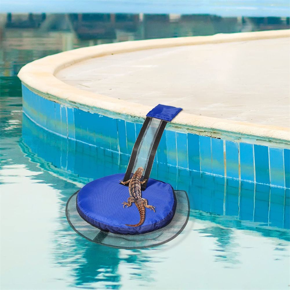 Exit aid Pool Animals, Animal -Saving Escape ramp for Pool Floating ramping view 2