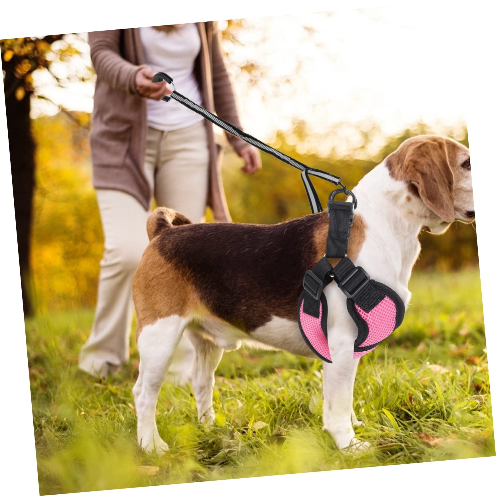 Pet Dog Traction Puppy Strap Pet Strap Walking Dog No-Pull Dog Vest Nylon Dog view 2