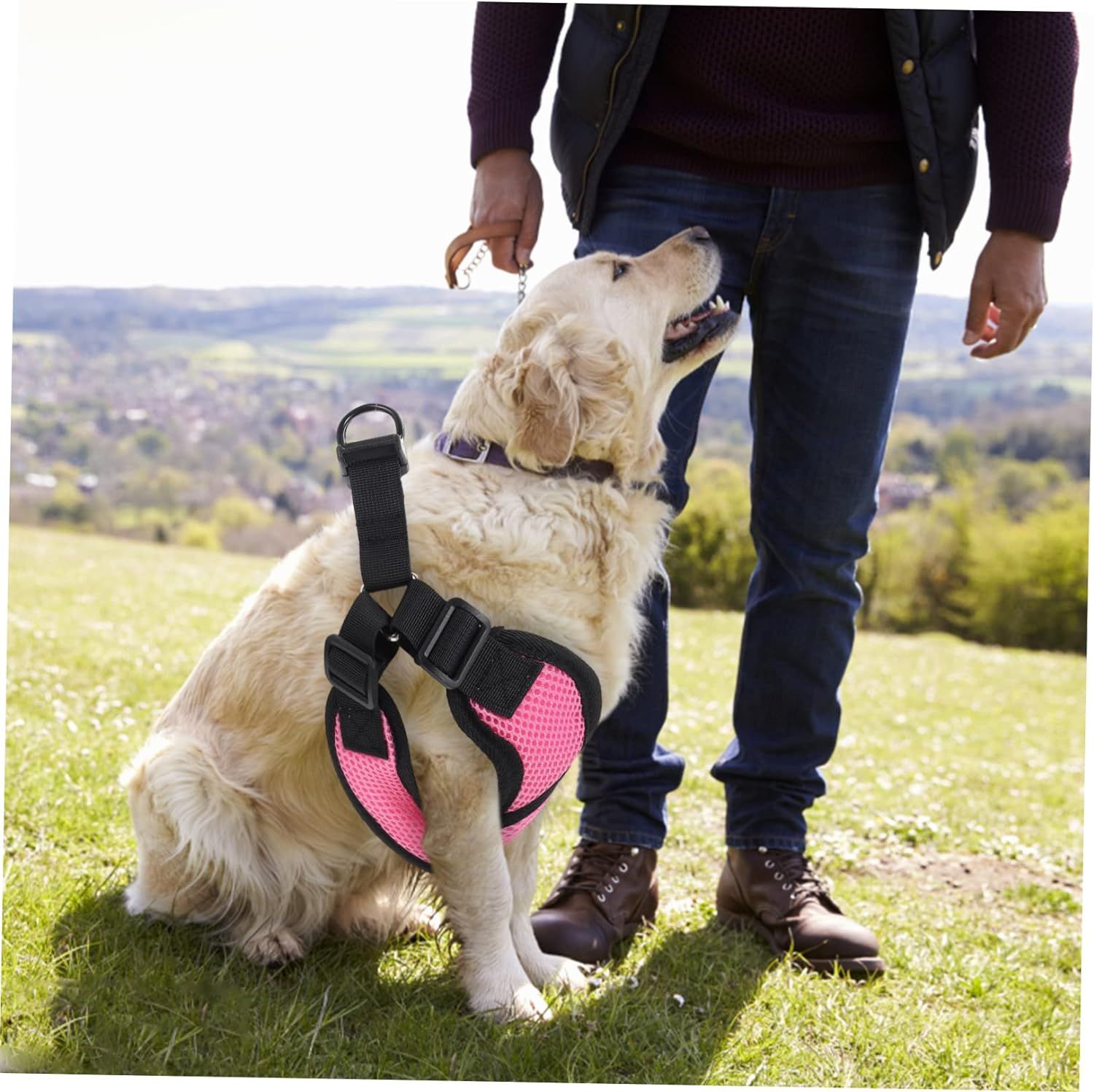 Pet Dog Traction Puppy Strap Pet Strap Walking Dog No-Pull Dog Vest Nylon Dog view 4