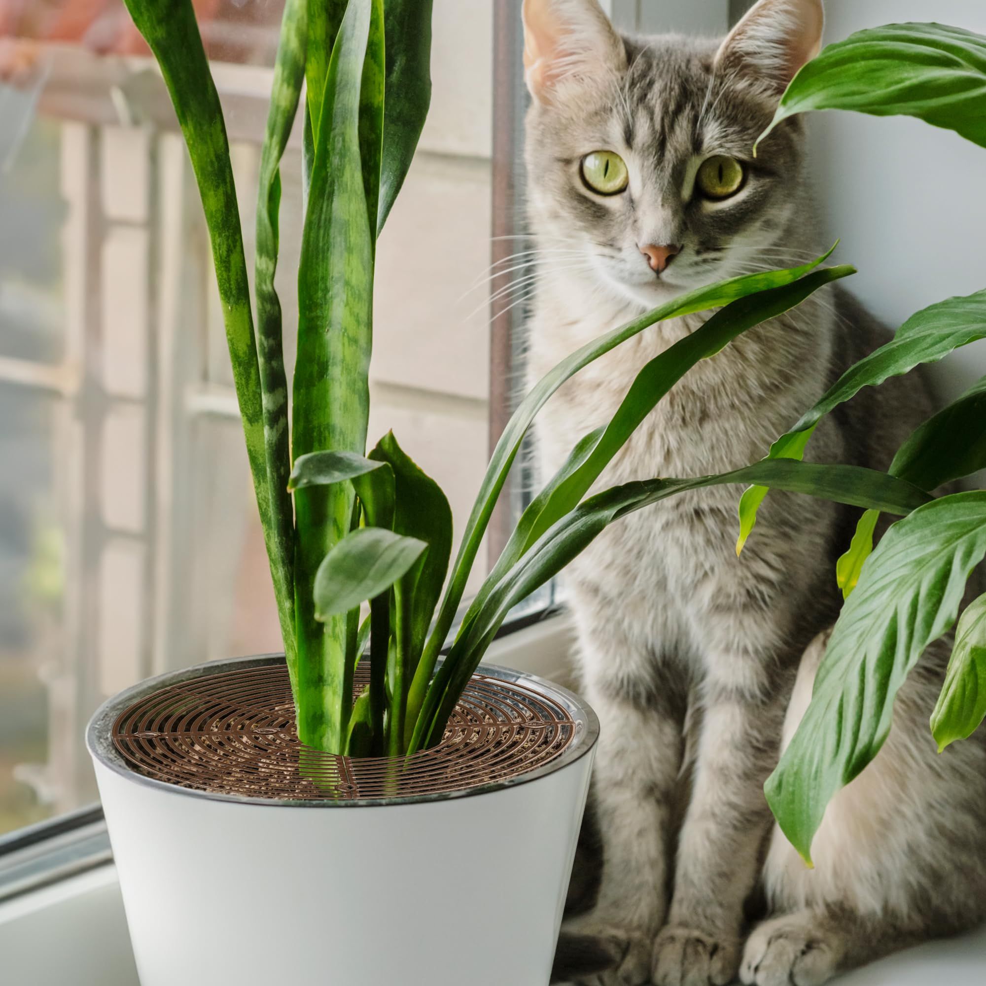 3 Pack Plant Pot Covers for Indoor Plants view 2