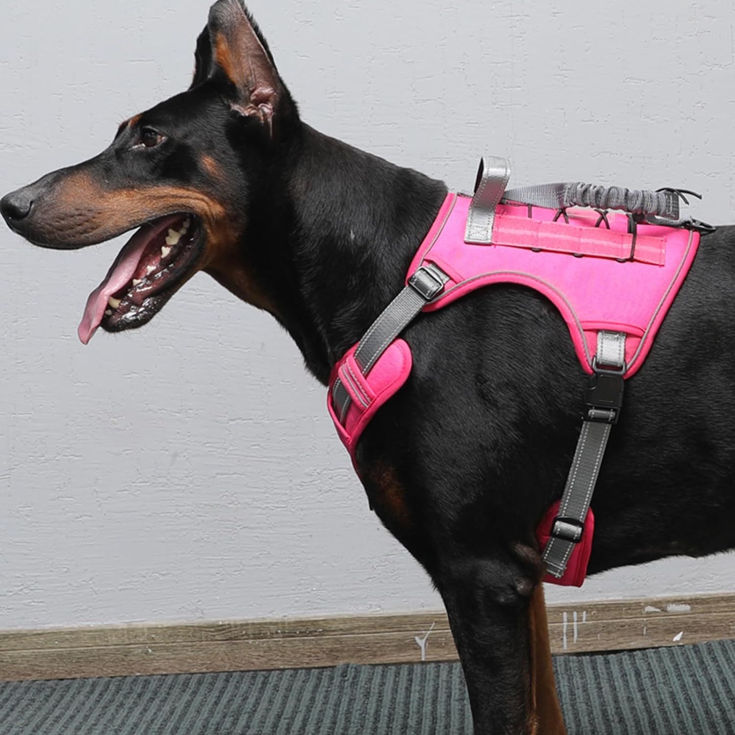Tactical Dog Harness for Small Medium Large Dogs view 3