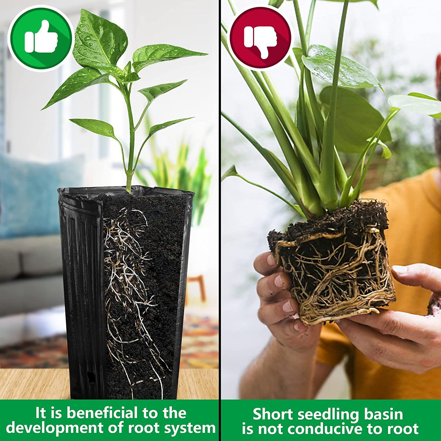20Pcs Tall Tree Pots Tall Seedling Flower Plant Container Pots for Indoor