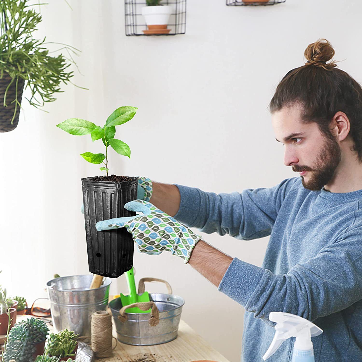 20Pcs Tall Tree Pots Tall Seedling Flower Plant Container Pots for Indoor view 3