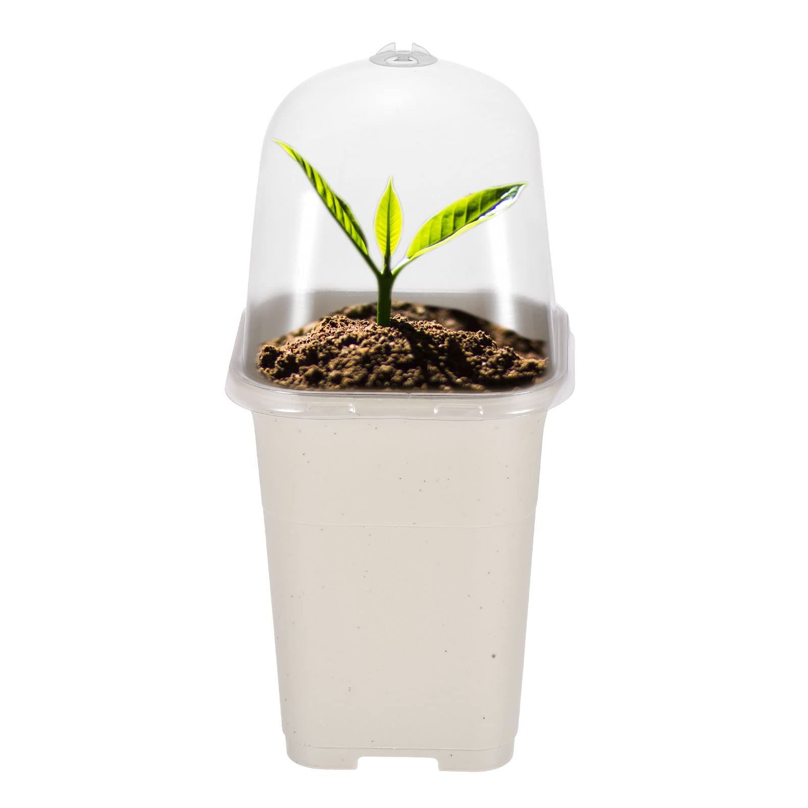 10PCS Seeding Starter Pots view 4