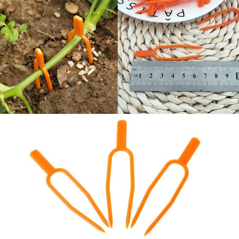 50pcs Fixing Clips Plant Clips Garden Tool Stolons Accessory Strawberry Fork view 2
