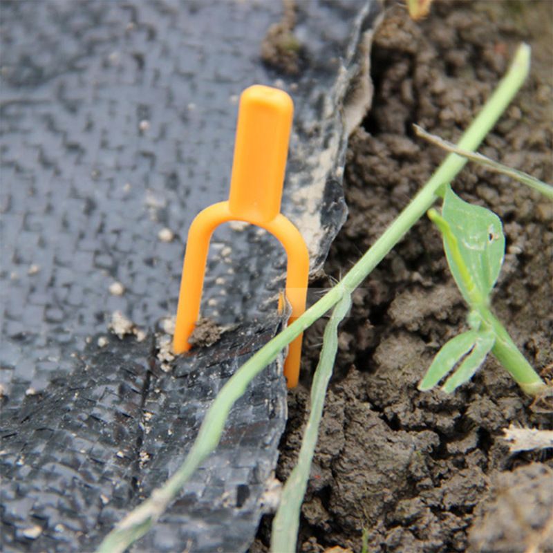 50pcs Fixing Clips Plant Clips Garden Tool Stolons Accessory Strawberry Fork view 3