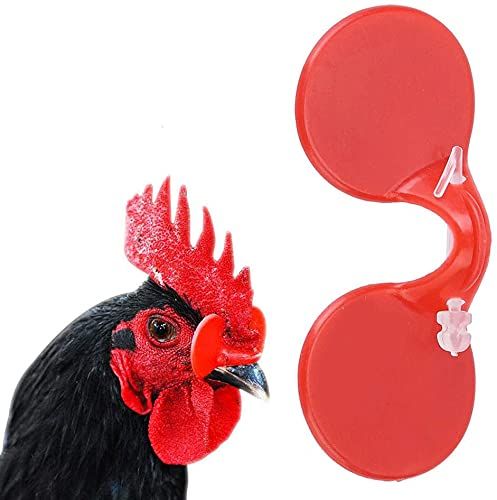 100Pcs Chicken Eye Glasses view 3