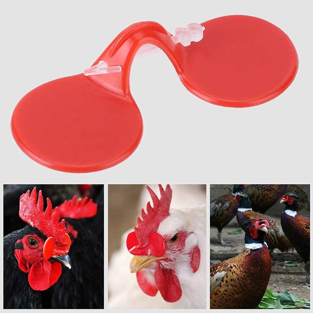 100Pcs Chicken Eye Glasses view 4