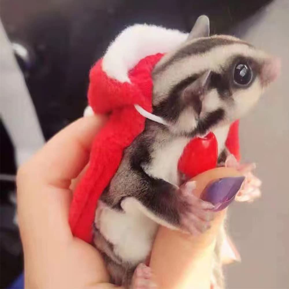 Small Animals Christmas Costume for Rabbit Kitten Elk Cape with Deer Antler view 3