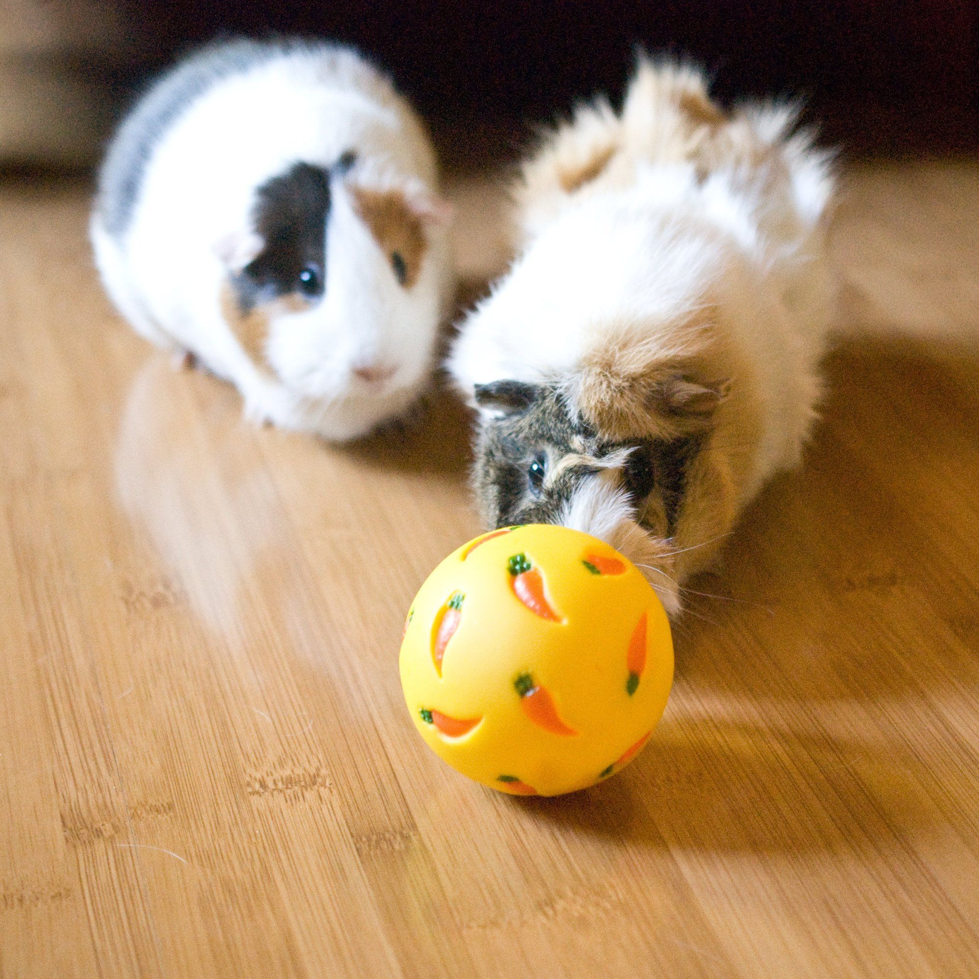 Toy for Guinea Pigs, Rabbits, Hedgehogs and Other Small Pets, 7 cm, Yellow view 4