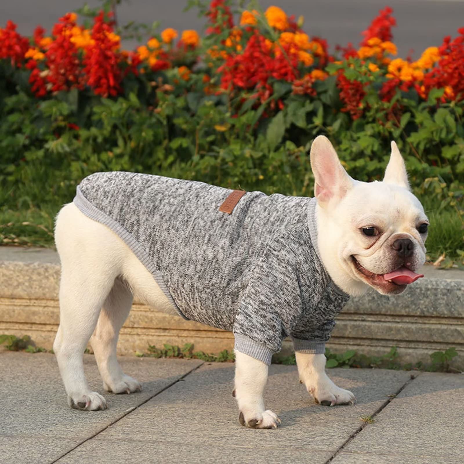 Pet Dog Sweater for Small Medium Dogs Boy Girl Puppy Warm Clothes Winter Gray view 2