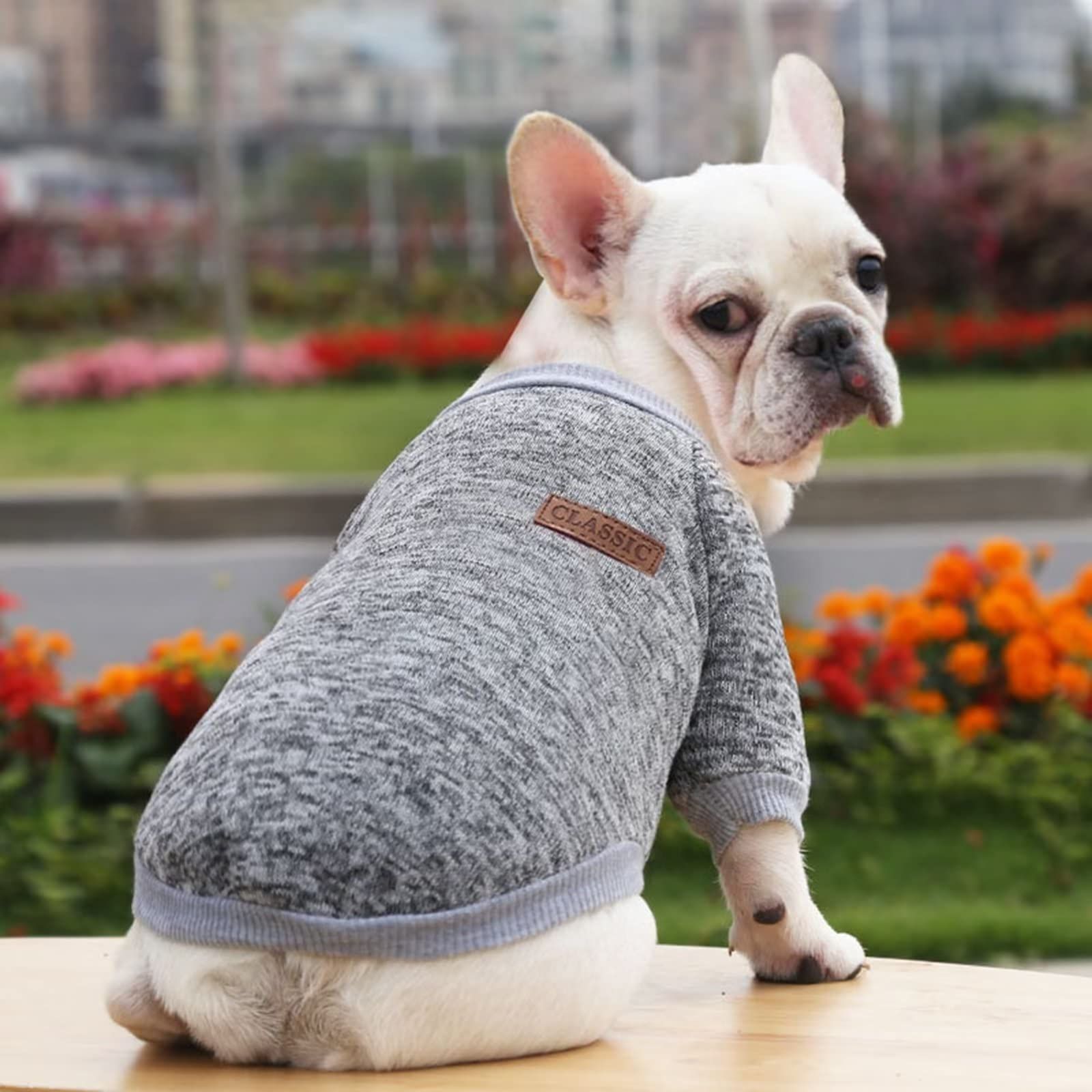 Pet Dog Sweater for Small Medium Dogs Boy Girl Puppy Warm Clothes Winter Gray view 3