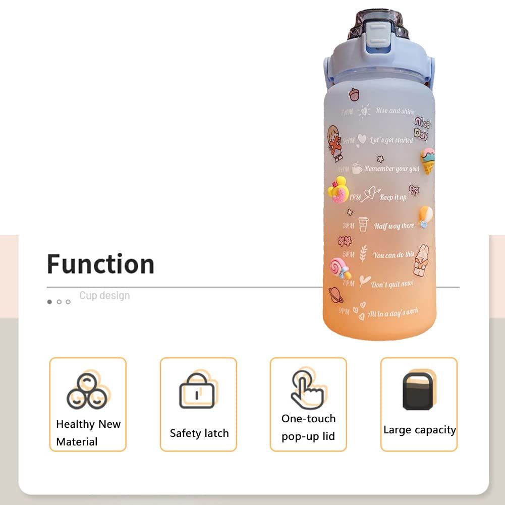 Cute Water Bottles Water Bottle with Straw and Stickers