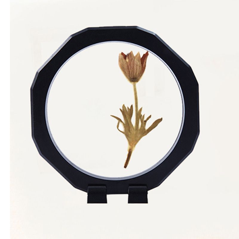 3pcs Pin Coin Display Case Coin Holder Levitating Floating Display Case view 3