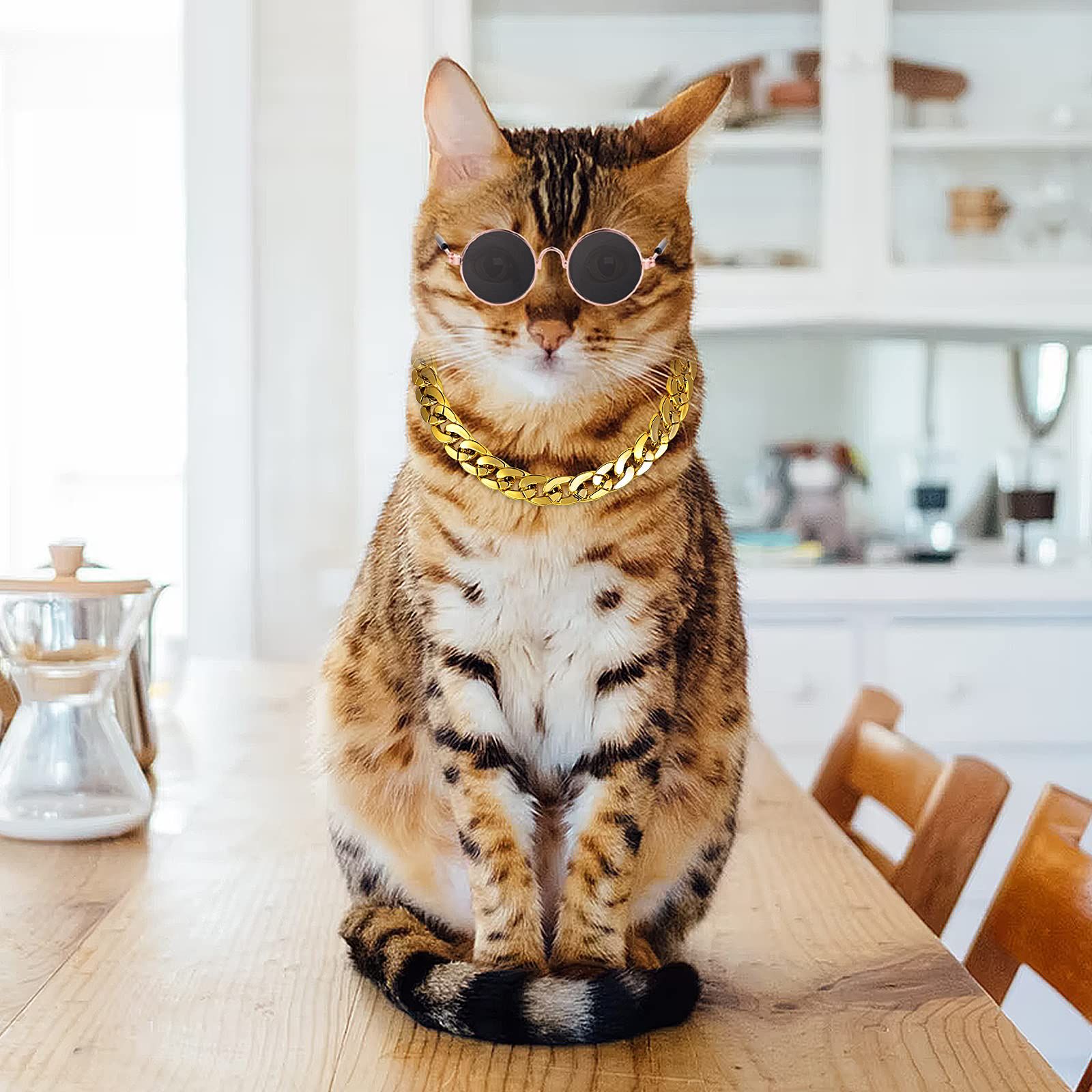 Cat Sunglasses Gold Chain Costume Decorations UV Protection Classic Retro view 2