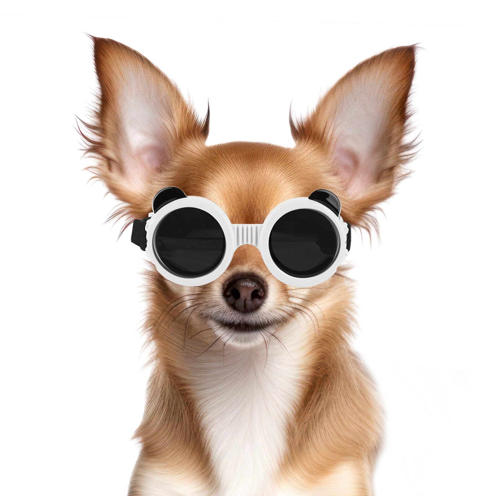 Dog Goggles for Small Dog UV/Wind/Dust Protection Dog Sunglasses for Small view 2