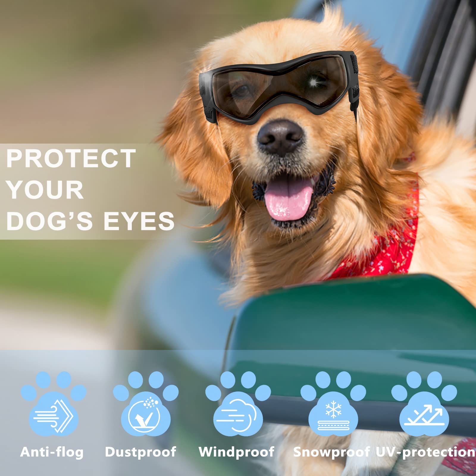 Dog Goggles UV Protection for Small to Medium Breed Dog view 2