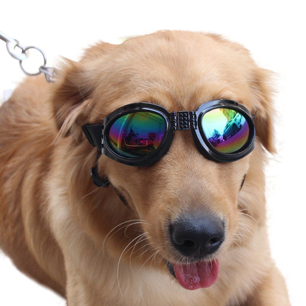 Dog Sunglasses Dog Goggles for Medium Large Breed Dogs view 5