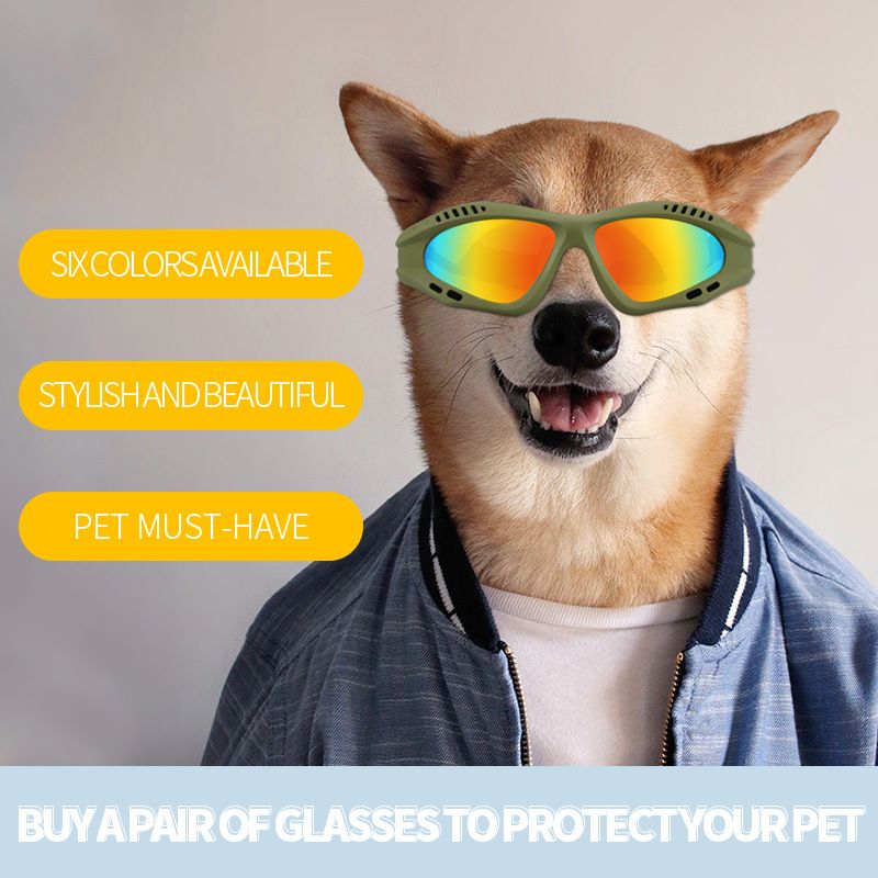 Dog Goggles Medium Large Breed view 5