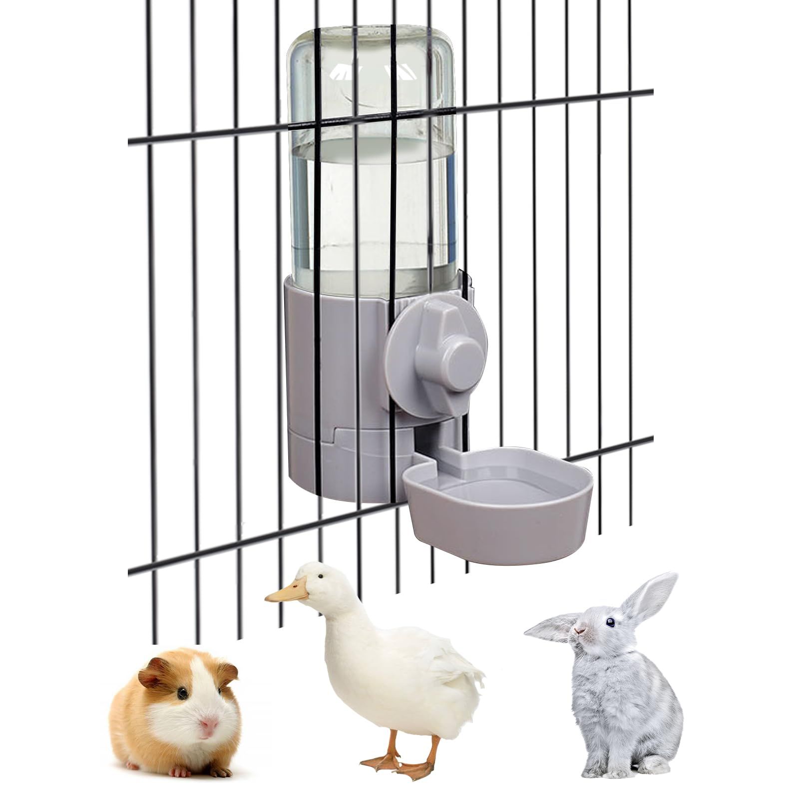Rabbit Water Bottle 17 OZ Bunny Hanging Water Fountain Automatic Guinea Pig
