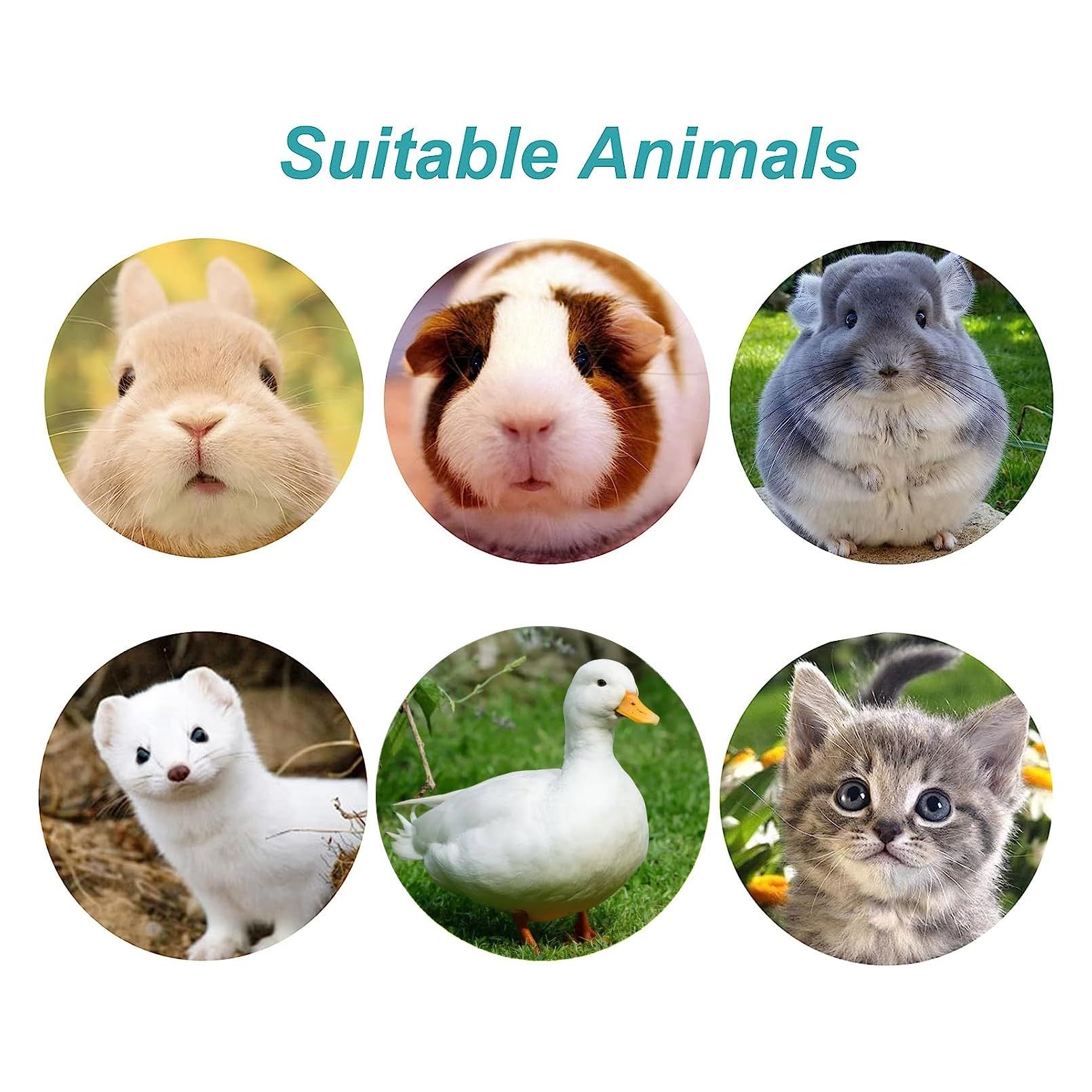 Rabbit Water Bottle 17 OZ Bunny Hanging Water Fountain Automatic Guinea Pig view 4